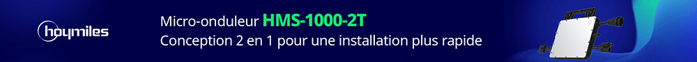 HOYMILES 2023 dec
